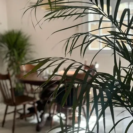 Appartement The Nest, Zamalek